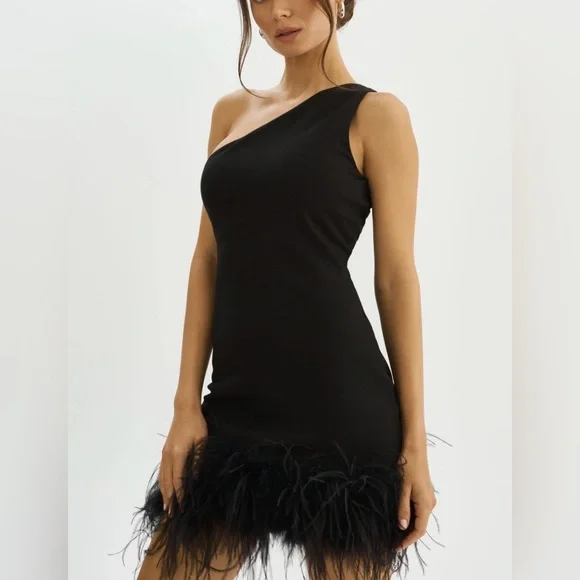 LAMARQUE Tafia One Shoulder Feather Trim Mini Dress Black NWT Size M - Picture 4 of 9